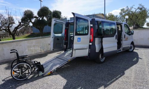 Opel Vivaro (D) con Autista